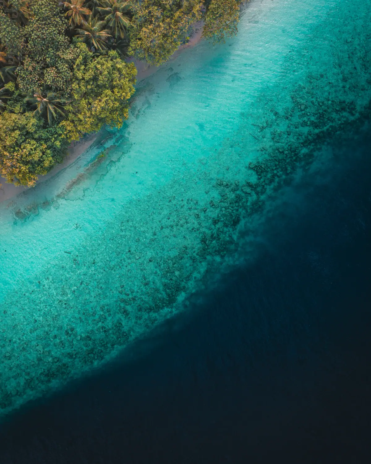 An aerial view of a Maldives island surrounded by turquoise lagoon